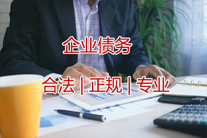 十万元借款无力偿还，可能面临何种刑罚？
